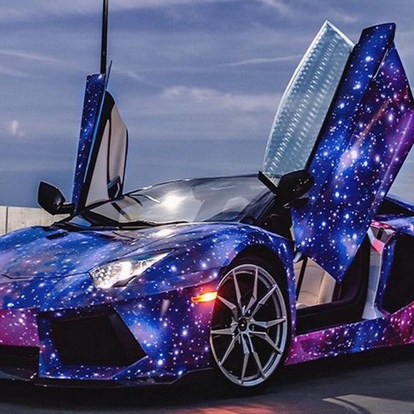 Meet your Posher, Holden - Picture 1 of 1